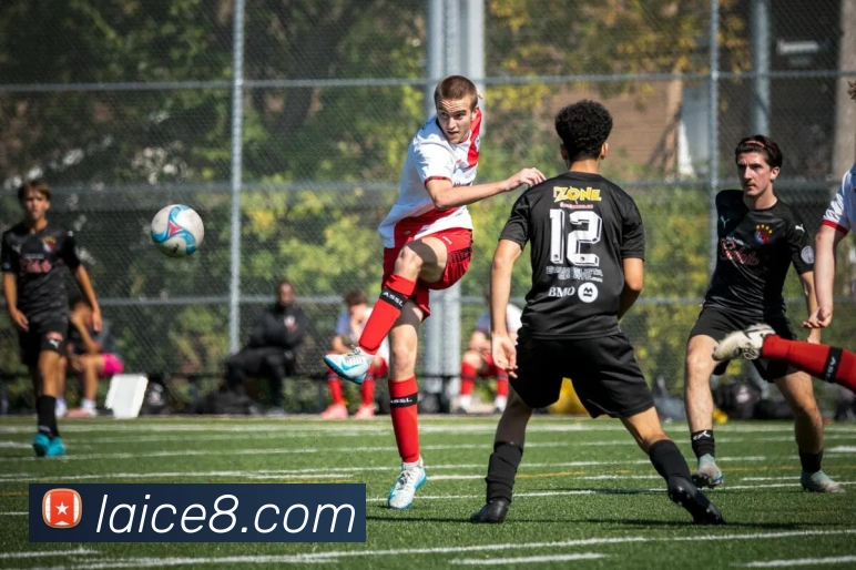 博雅app官网下载入口发展历程